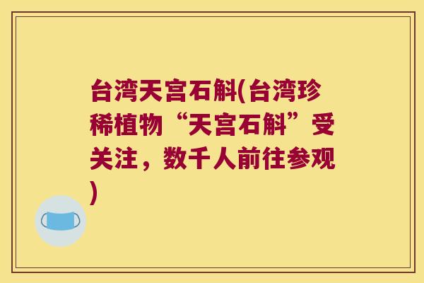 台湾天宫石斛(台湾珍稀植物“天宫石斛”受关注，数千人前往参观)