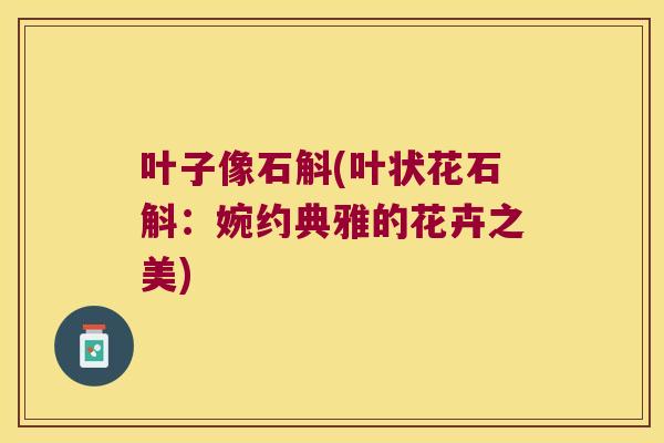 叶子像石斛(叶状花石斛：婉约典雅的花卉之美)