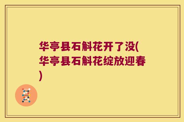 华亭县石斛花开了没(华亭县石斛花绽放迎春) 华亭县石斛花开了没(华亭县石斛花绽放迎春)