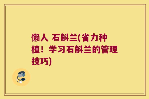 懒人 石斛兰(省力种植！学习石斛兰的管理技巧)