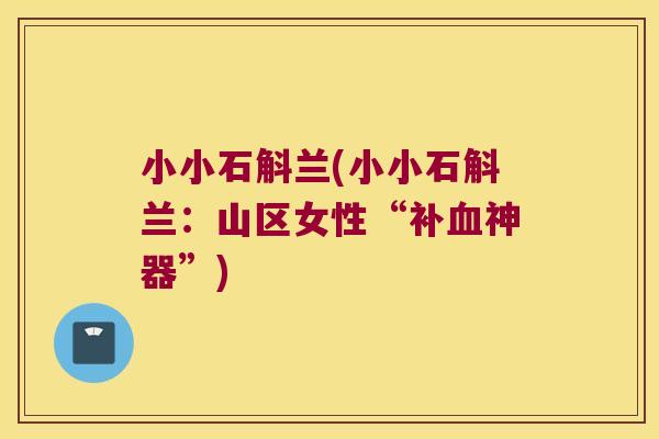 小小石斛兰(小小石斛兰：山区女性“补神器”)