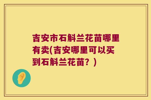 吉安市石斛兰花苗哪里有卖(吉安哪里可以买到石斛兰花苗？)