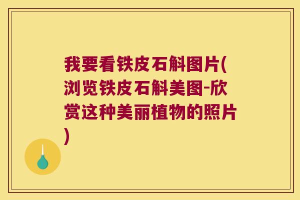 我要看铁皮石斛图片(浏览铁皮石斛美图-欣赏这种美丽植物的照片)