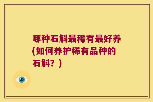 哪种石斛稀有好养(如何养护稀有品种的石斛？)