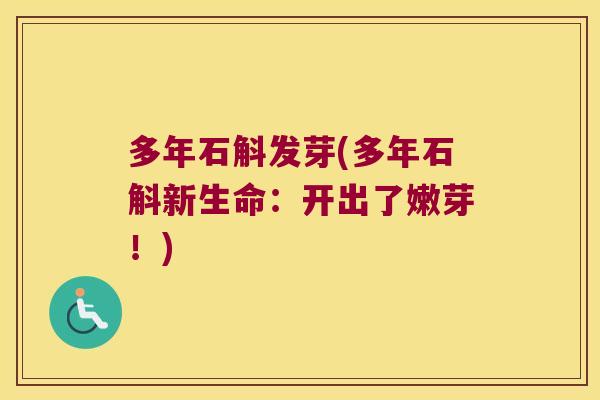 多年石斛发芽(多年石斛新生命：开出了嫩芽！)