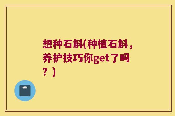 想种石斛(种植石斛，养护技巧你get了吗？)