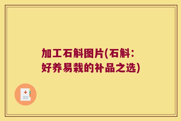 加工石斛图片(石斛：好养易栽的补品之选)