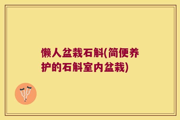 懒人盆栽石斛(简便养护的石斛室内盆栽)