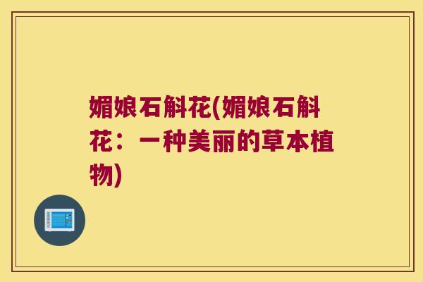 媚娘石斛花(媚娘石斛花：一种美丽的草本植物)