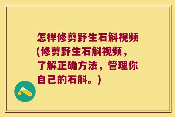 怎样修剪野生石斛视频(修剪野生石斛视频，了解正确方法，管理你自己的石斛。)