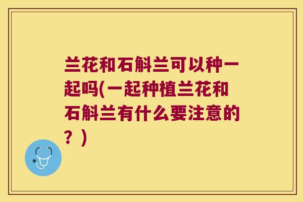 兰花和石斛兰可以种一起吗(一起种植兰花和石斛兰有什么要注意的？)