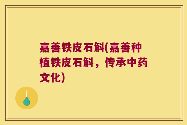 嘉善铁皮石斛(嘉善种植铁皮石斛，传承中药文化)