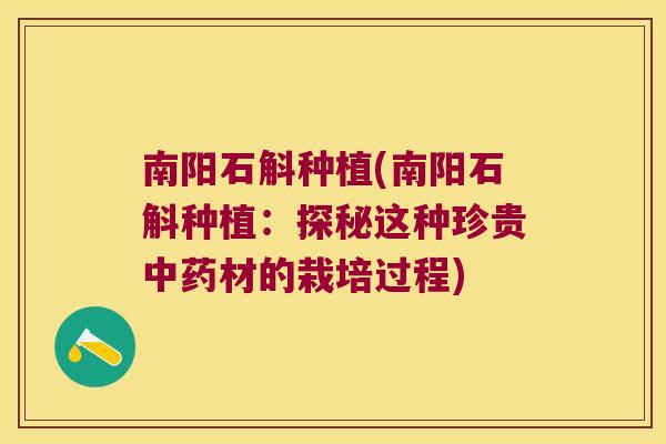 南阳石斛种植(南阳石斛种植：探秘这种珍贵中药材的栽培过程)