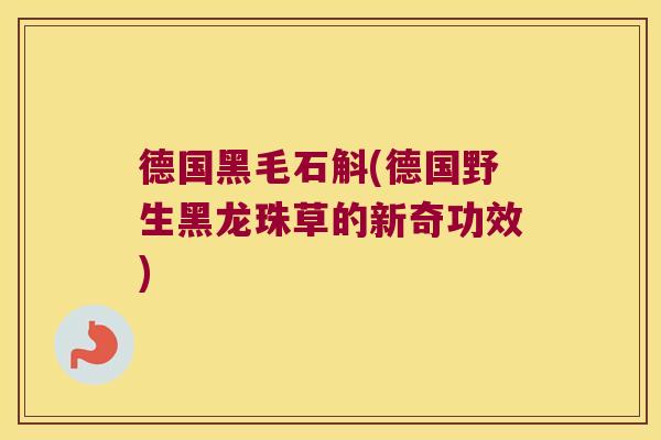 德国黑毛石斛(德国野生黑龙珠草的新奇功效)