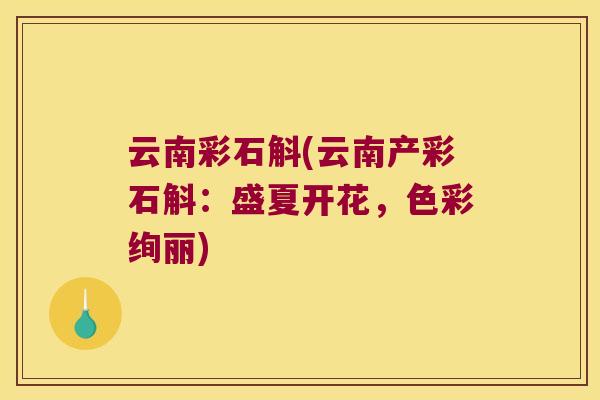 云南彩石斛(云南产彩石斛：盛夏开花，色彩绚丽)