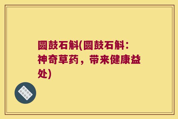 圆鼓石斛(圆鼓石斛：神奇草药，带来健康益处)
