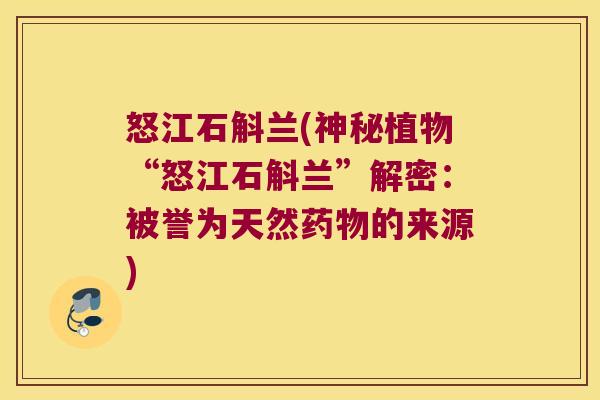 怒江石斛兰(神秘植物“怒江石斛兰”解密：被誉为天然药物的来源)