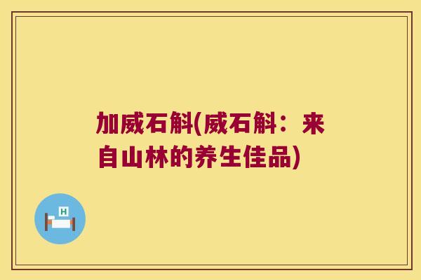 加威石斛(威石斛：来自山林的养生佳品)