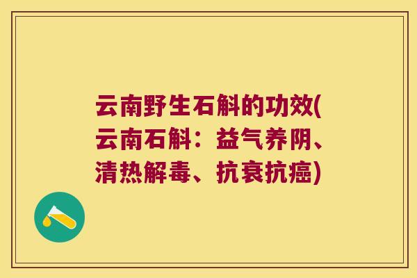 云南野生石斛的功效(云南石斛：益气养阴、清热解毒、抗衰抗癌)