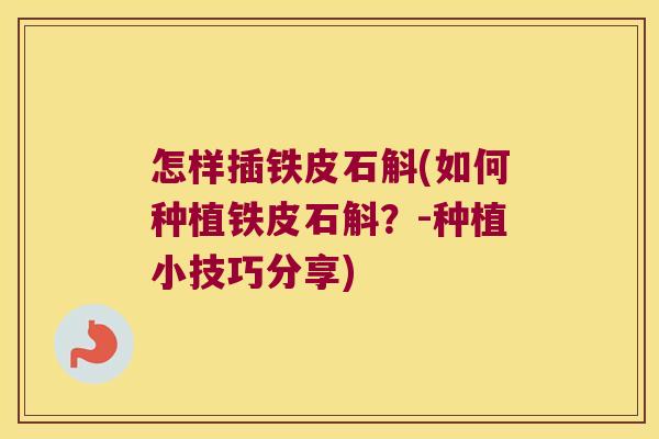 怎样插铁皮石斛(如何种植铁皮石斛？-种植小技巧分享)