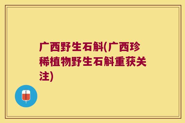 广西野生石斛(广西珍稀植物野生石斛重获关注)