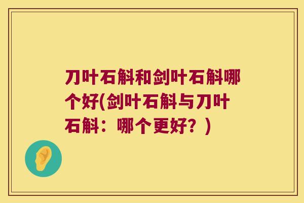 刀叶石斛和剑叶石斛哪个好(剑叶石斛与刀叶石斛：哪个更好？)