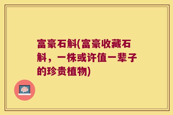 富豪石斛(富豪收藏石斛，一株或许值一辈子的珍贵植物)