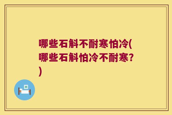 哪些石斛不耐寒怕冷(哪些石斛怕冷不耐寒？)