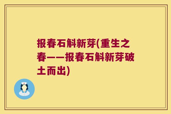 报春石斛新芽(重生之春——报春石斛新芽破土而出) 报春石斛新芽(重生之春——报春石斛新芽破土而出)