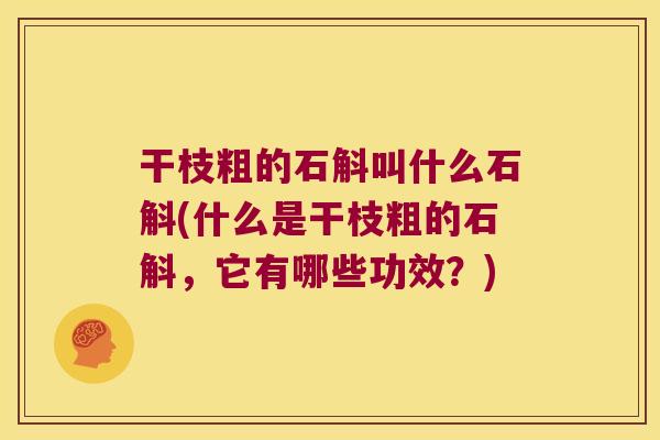 干枝粗的石斛叫什么石斛(什么是干枝粗的石斛，它有哪些功效？)
