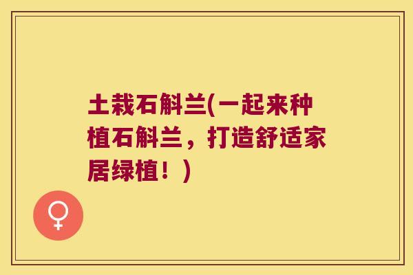 土栽石斛兰(一起来种植石斛兰，打造舒适家居绿植！)