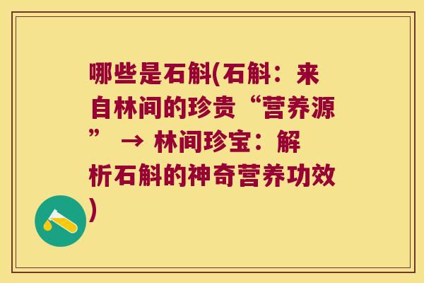 哪些是石斛(石斛：来自林间的珍贵“营养源” → 林间珍宝：解析石斛的神奇营养功效)