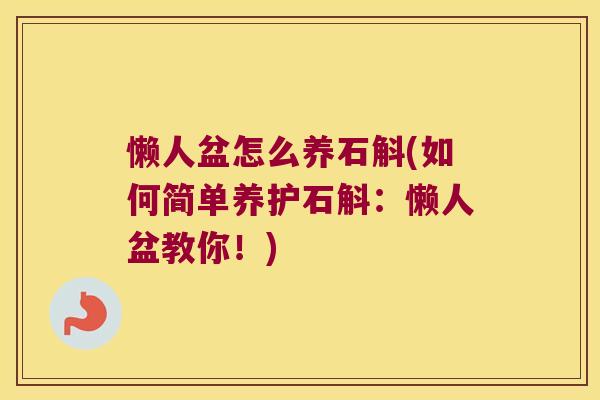 懒人盆怎么养石斛(如何简单养护石斛：懒人盆教你！)