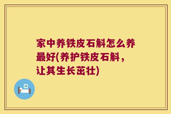 家中养铁皮石斛怎么养最好(养护铁皮石斛，让其生长茁壮)
