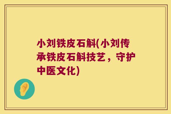 小刘铁皮石斛(小刘传承铁皮石斛技艺，守护中医文化)