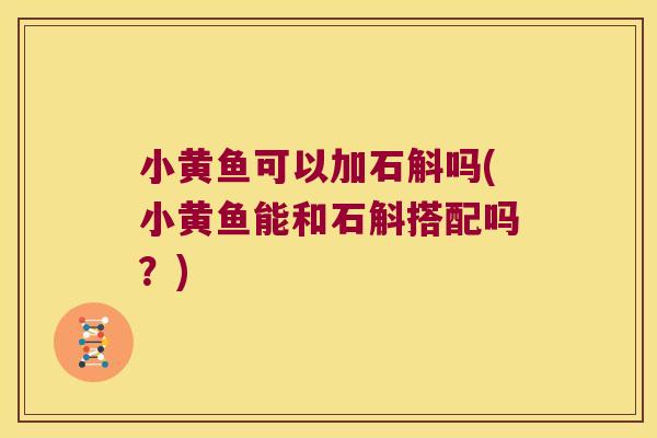 小黄鱼可以加石斛吗(小黄鱼能和石斛搭配吗？)
