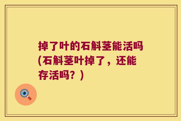 掉了叶的石斛茎能活吗(石斛茎叶掉了，还能存活吗？)