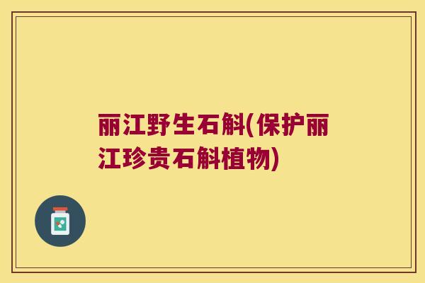 丽江野生石斛(保护丽江珍贵石斛植物)