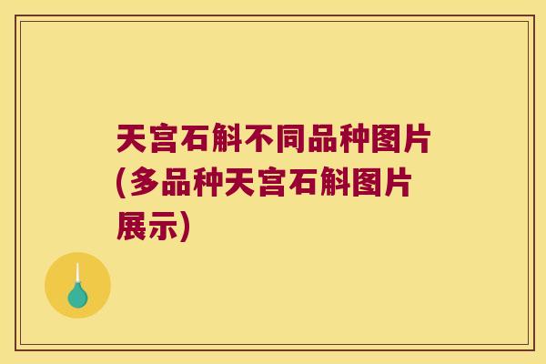 天宫石斛不同品种图片(多品种天宫石斛图片展示)