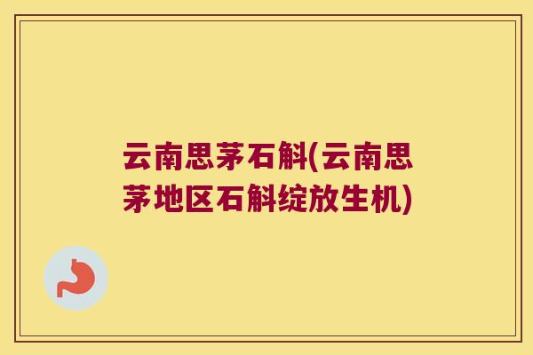 云南思茅石斛(云南思茅地区石斛绽放生机)