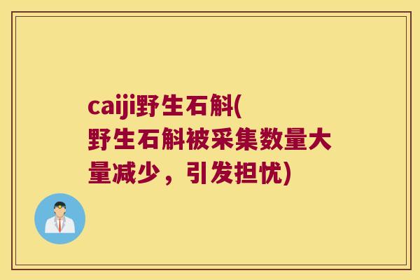 caiji野生石斛(野生石斛被采集数量大量减少，引发担忧)