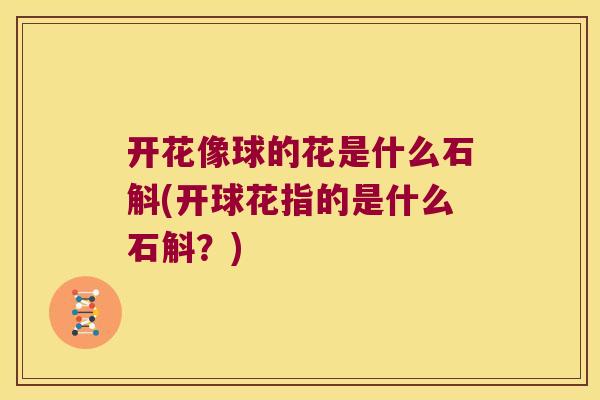 开花像球的花是什么石斛(开球花指的是什么石斛？)
