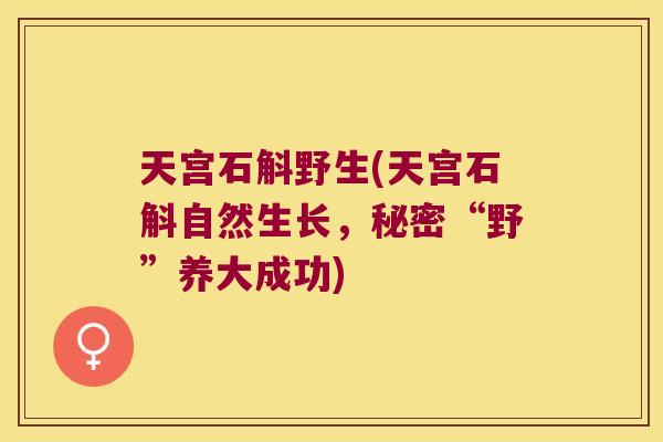 天宫石斛野生(天宫石斛自然生长，秘密“野”养大成功)