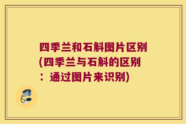四季兰和石斛图片区别(四季兰与石斛的区别：通过图片来识别)