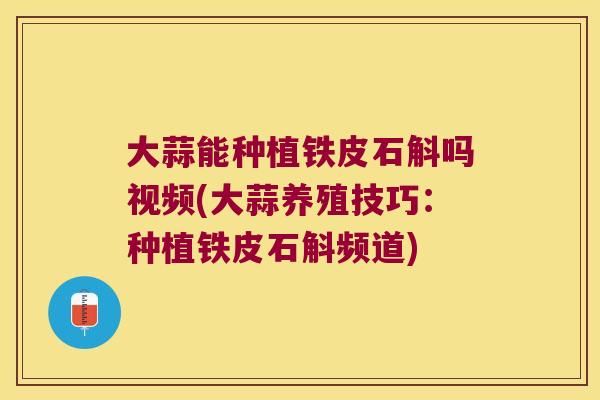 大蒜能种植铁皮石斛吗视频(大蒜养殖技巧:种植铁皮石斛频道) 大蒜能种植铁皮石斛吗视频(大蒜养殖技巧:种植铁皮石斛频道)