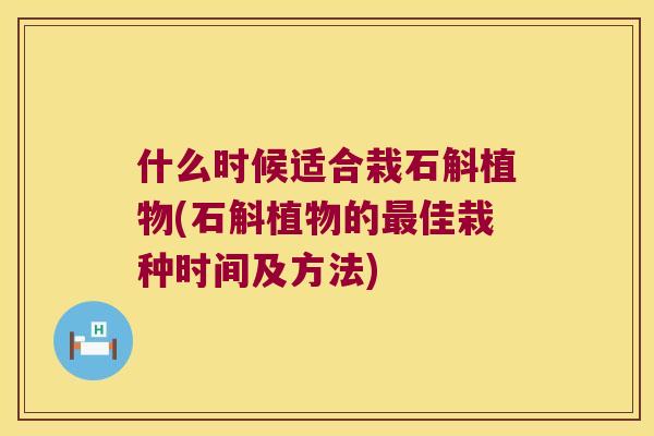 什么时候适合栽石斛植物(石斛植物的最佳栽种时间及方法)