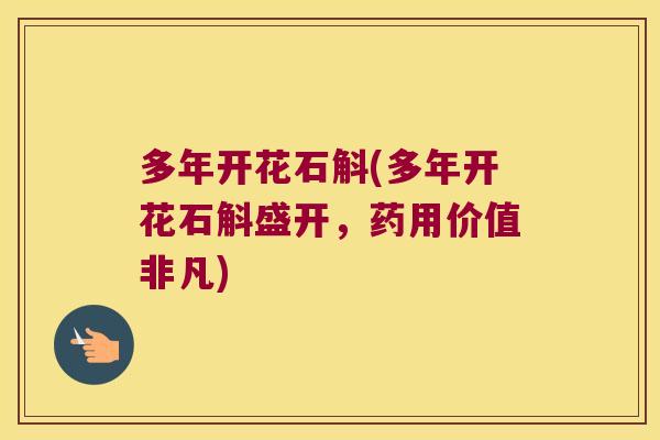 多年开花石斛(多年开花石斛盛开，药用价值非凡)