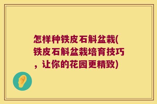 怎样种铁皮石斛盆栽(铁皮石斛盆栽培育技巧，让你的花园更精致)