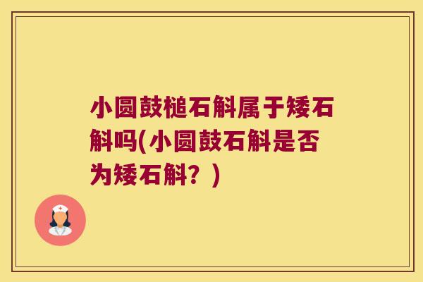 小圆鼓槌石斛属于矮石斛吗(小圆鼓石斛是否为矮石斛？)