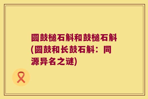圆鼓槌石斛和鼓槌石斛(圆鼓和长鼓石斛：同源异名之谜)